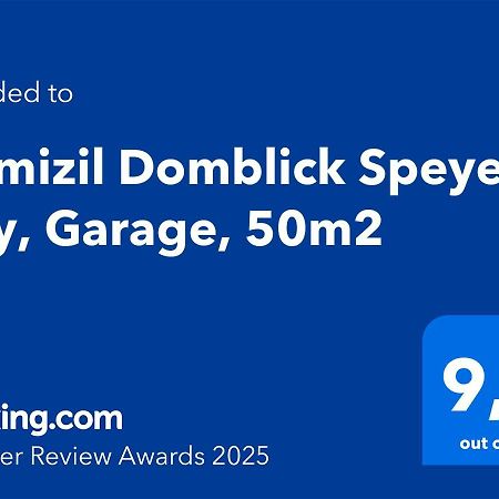Domizil Domblick Speyer City, Garage, 50m2 - 2G ohne Testpflicht Exterior foto